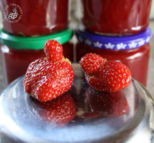 长得像鸭子的草莓