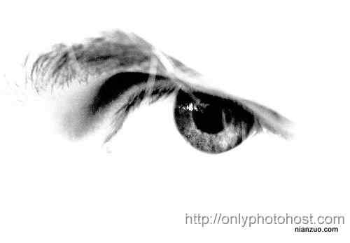 [组图]欣赏动物的眼睛