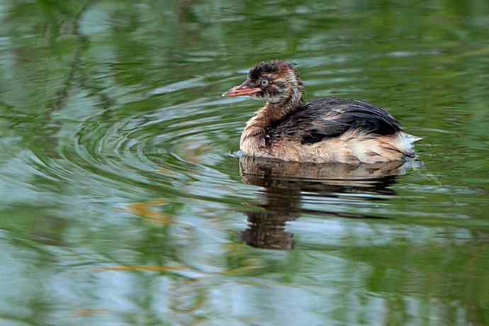 雾天鈥斺斠把己的早晨