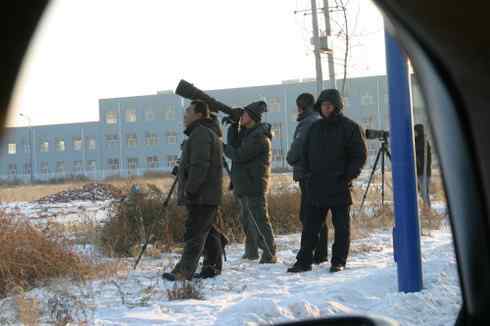 大炮对准大庆猛鸮