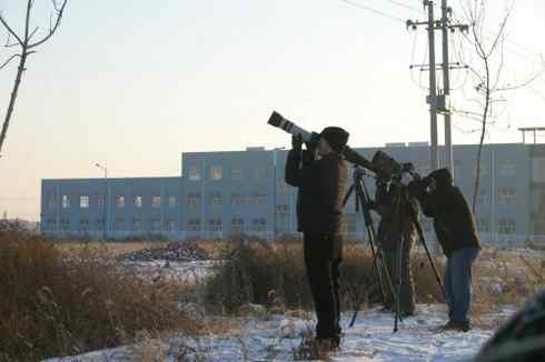 大炮对准大庆猛鸮