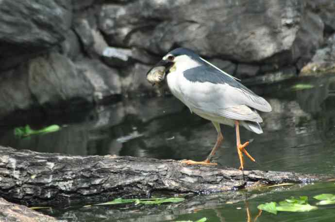 无头无尾的巧遇
