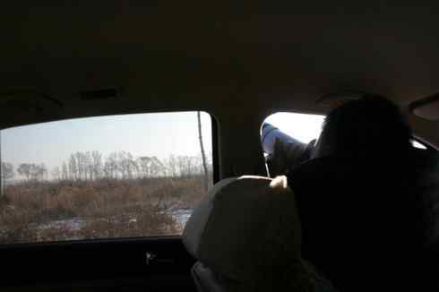 大炮对准大庆猛鸮