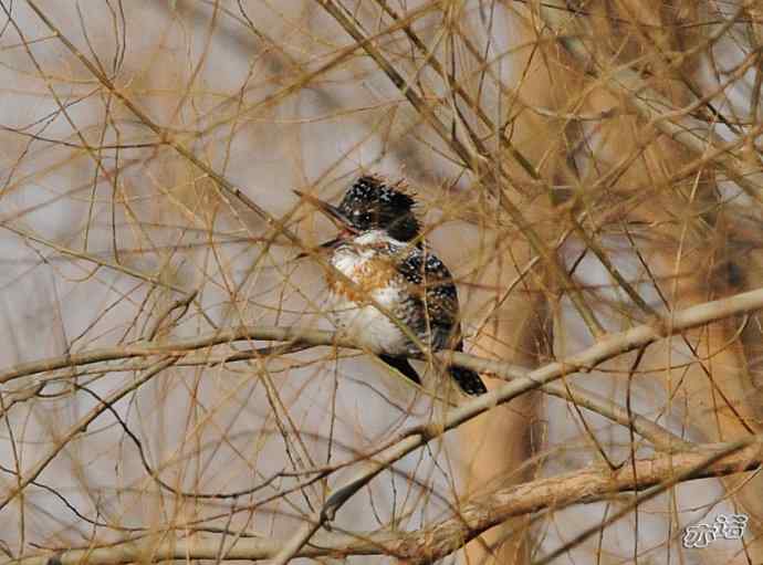 最近两天的收获