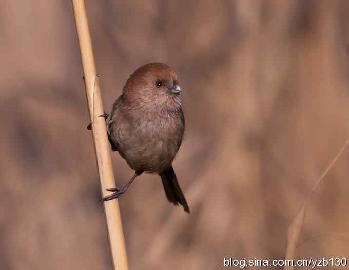 钻山一天,几乎未按快门(组图,5张图片)