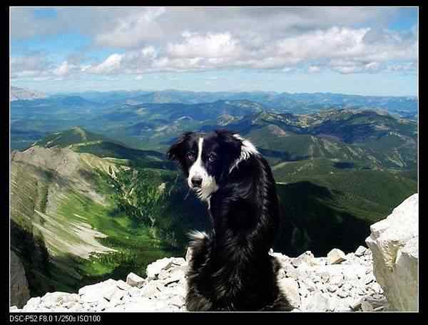 动物世界图片(上)