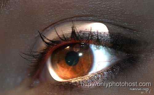 [组图]欣赏动物的眼睛