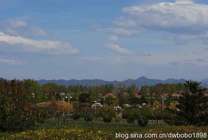 沙河云光水色鸟影