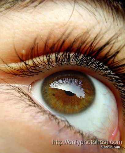[组图]欣赏动物的眼睛