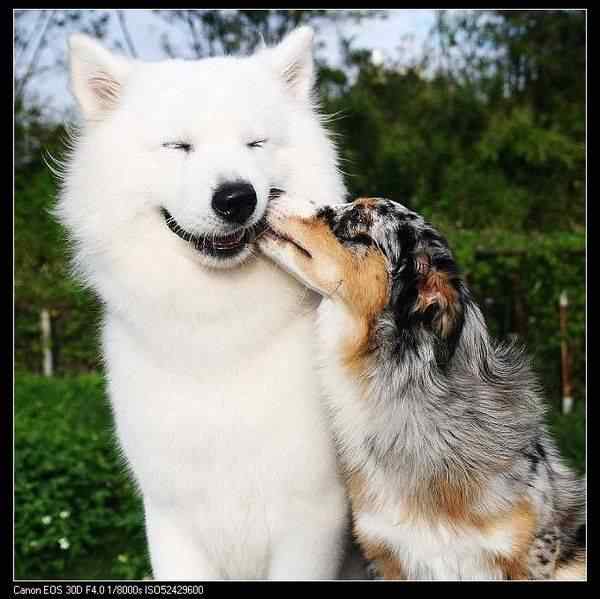 动物世界图片(上)