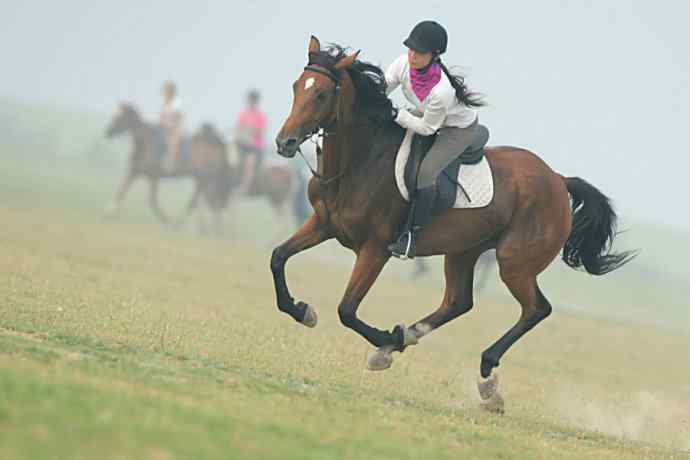 雾天鈥斺斠把己的早晨
