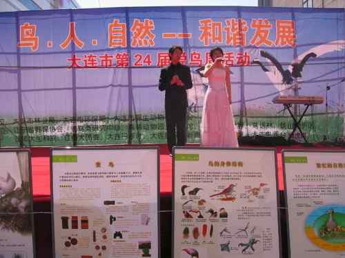 这些年干的这些（护鸟爱鸟）事