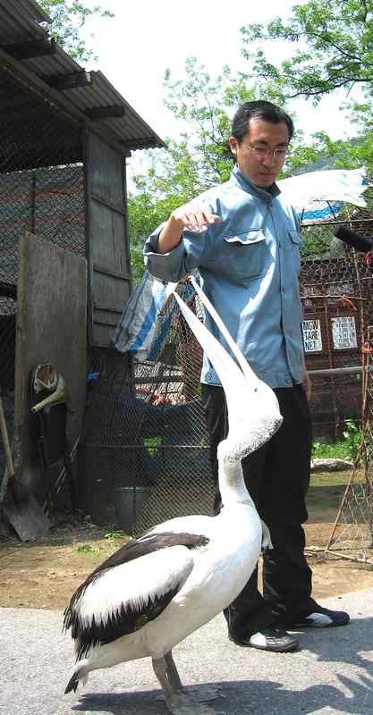 这些年干的这些（护鸟爱鸟）事