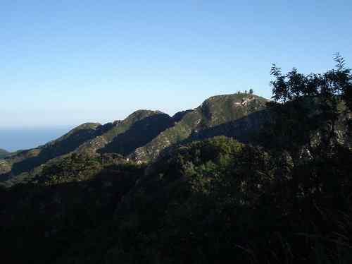 辽宁观鸟之一    老铁山鸟类保护