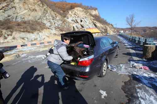 可怜(幸运)的秃鹫 可敬(可爱)的年轻人