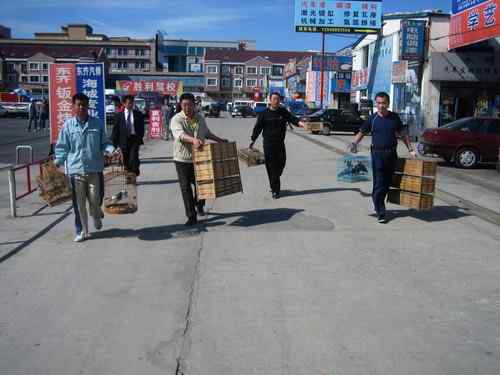 这些年干的这些（护鸟爱鸟）事