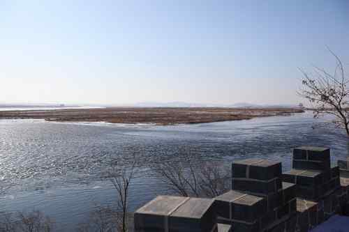 可怜(幸运)的秃鹫 可敬(可爱)的年轻人