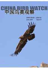 《中国鸟类观察》介绍