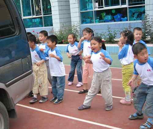 这些年干的这些（护鸟爱鸟）事