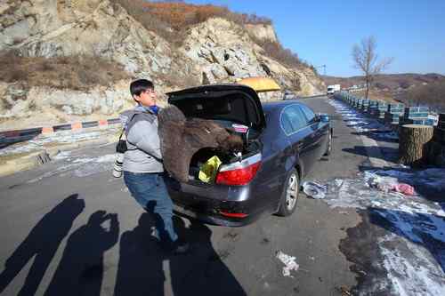 可怜(幸运)的秃鹫 可敬(可爱)的年轻人