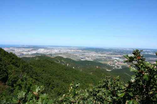 辽宁观鸟之一    老铁山鸟类保护