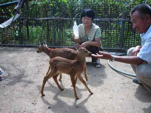 这些年干的这些（护鸟爱鸟）事