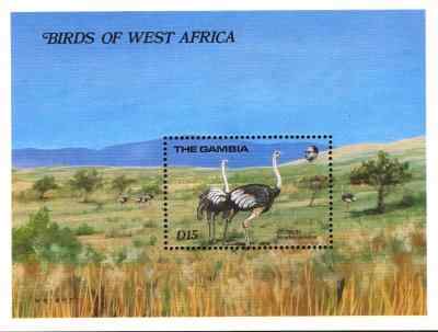 冈比亚鸵鸟邮票