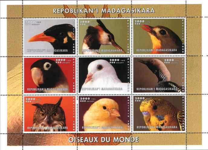 马达加斯加黑喉潜鸟邮票
