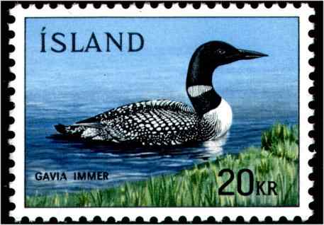 冰岛普通潜鸟邮票