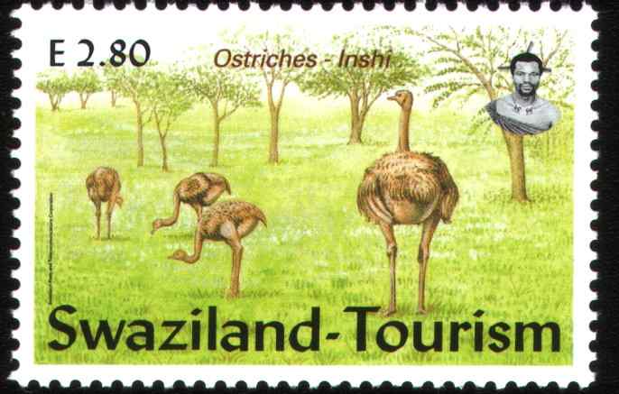 斯威士兰鸵鸟邮票