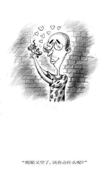 the boy who loved animals