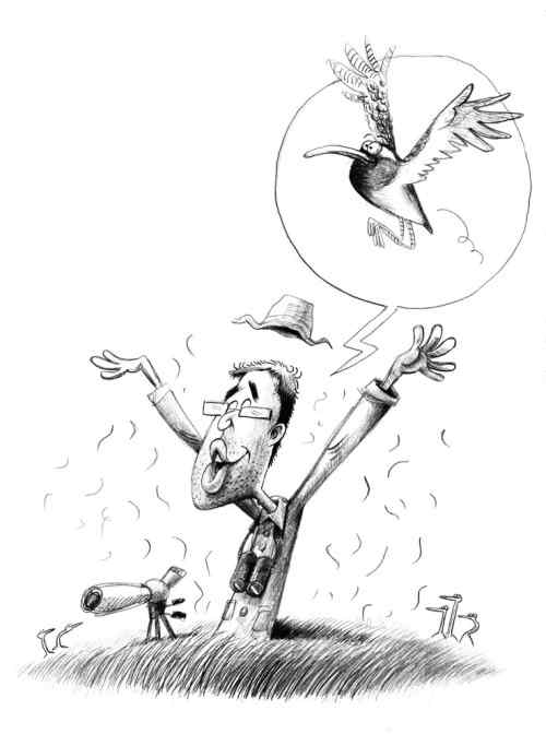 the boy who loved animals