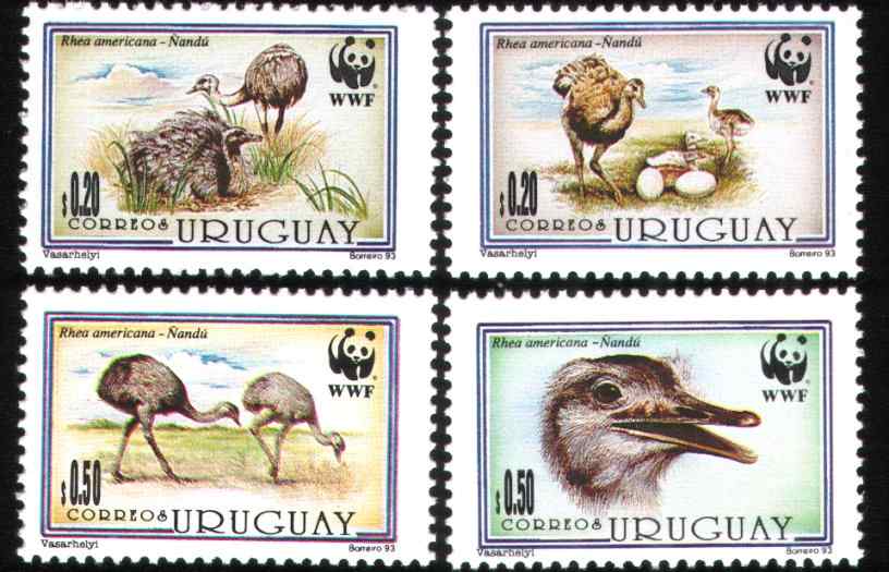 乌拉圭大美洲鸵邮票