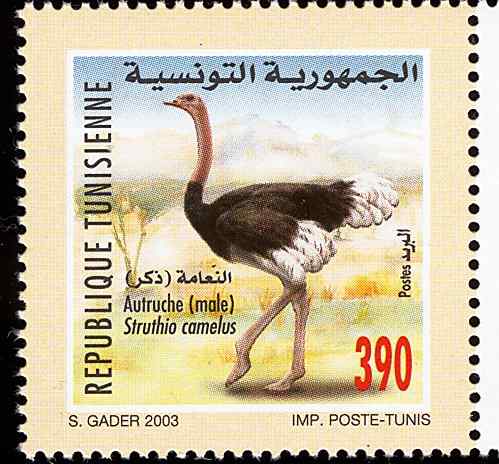 突尼斯鸵鸟邮票