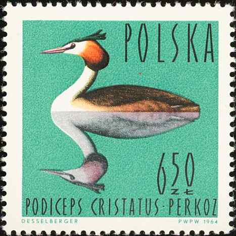 波兰凤头鸊鷉邮票