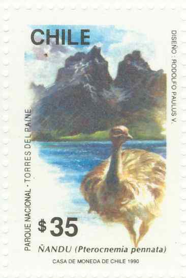 智利小美洲鸵邮票