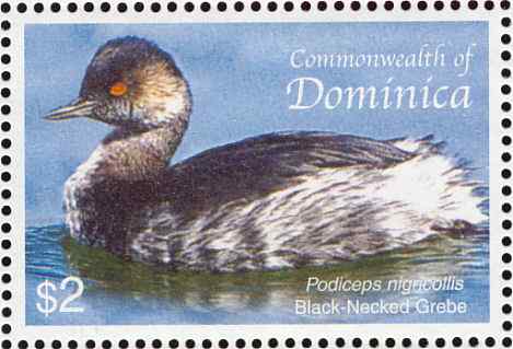 多米尼加黑颈鸊鷉邮票