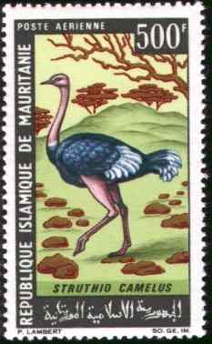 毛里塔尼亚鸵鸟邮票