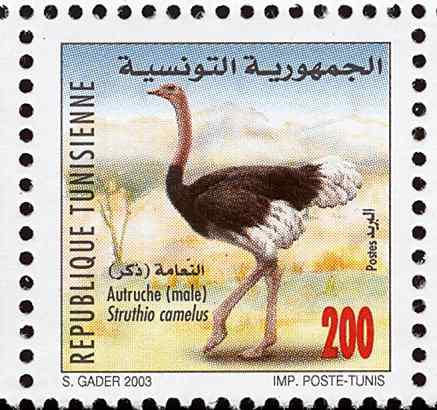 突尼斯鸵鸟邮票