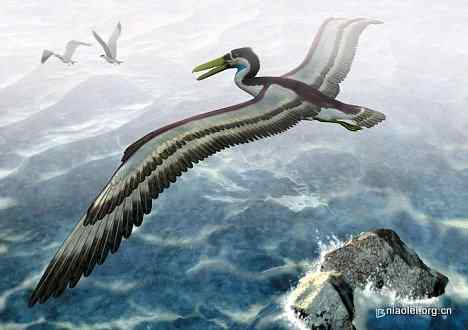 5000万前的巨型鸭子