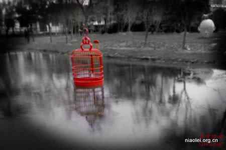 什么是鸡尾酒会效应?