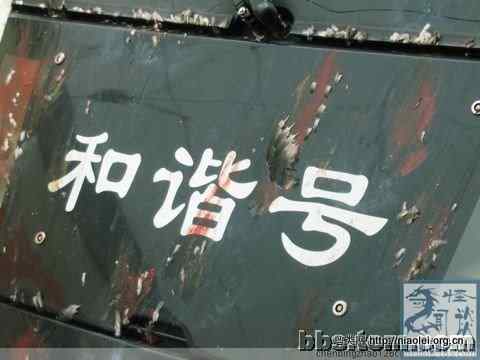 鸟儿杀手：和谐号动车组