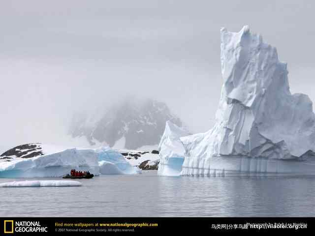 高清美国国家地理动物壁纸