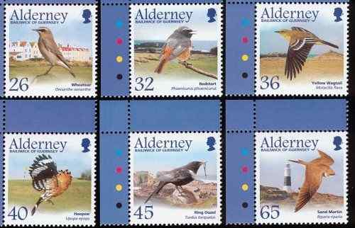 英国候鸟--雀类