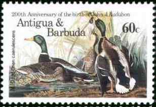 纪念美国鸟类学家奥杜邦诞辰200周年