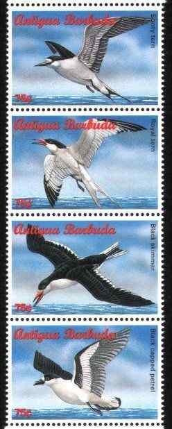 海鸟邮票