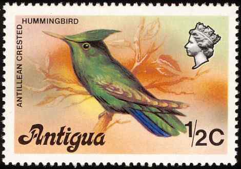 普通邮票凤头蜂鸟