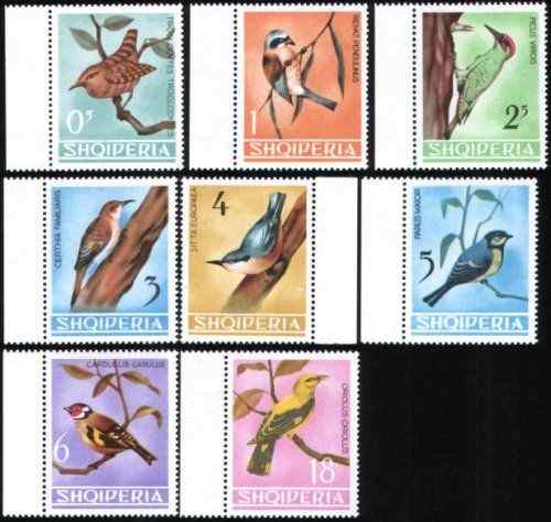 阿尔巴尼亚 鹪鹩等