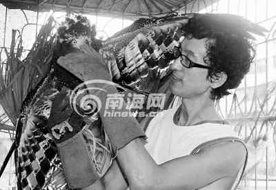 李波：愿做极端环保者