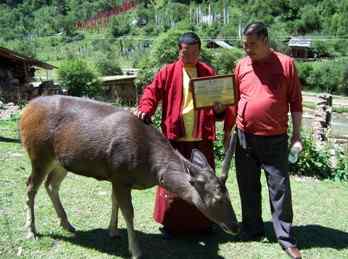 佛教文化影响下的动物保护